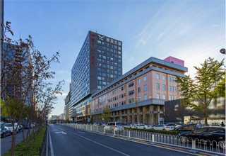 山西水库淤泥固化技术